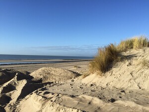 noordzeestrand