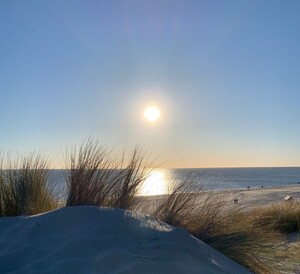 gemaakt tijdens een avondwandeling