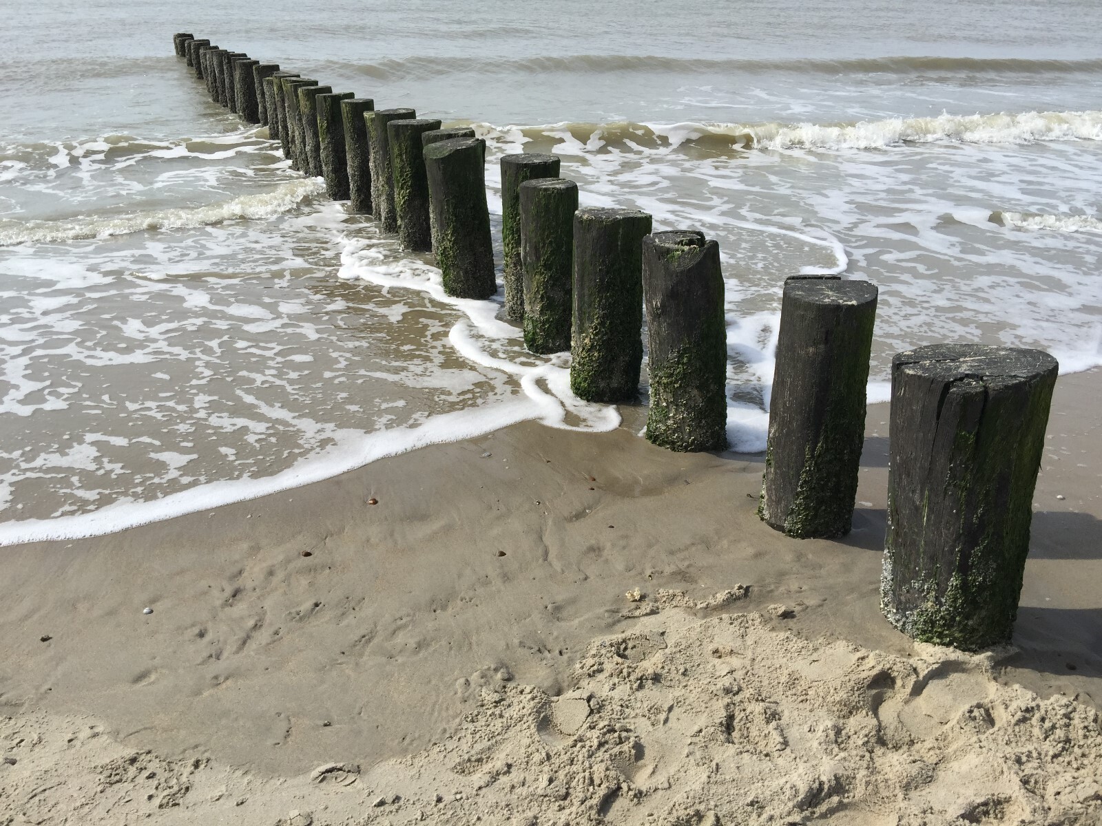 Impressie van de directe omgeving 
