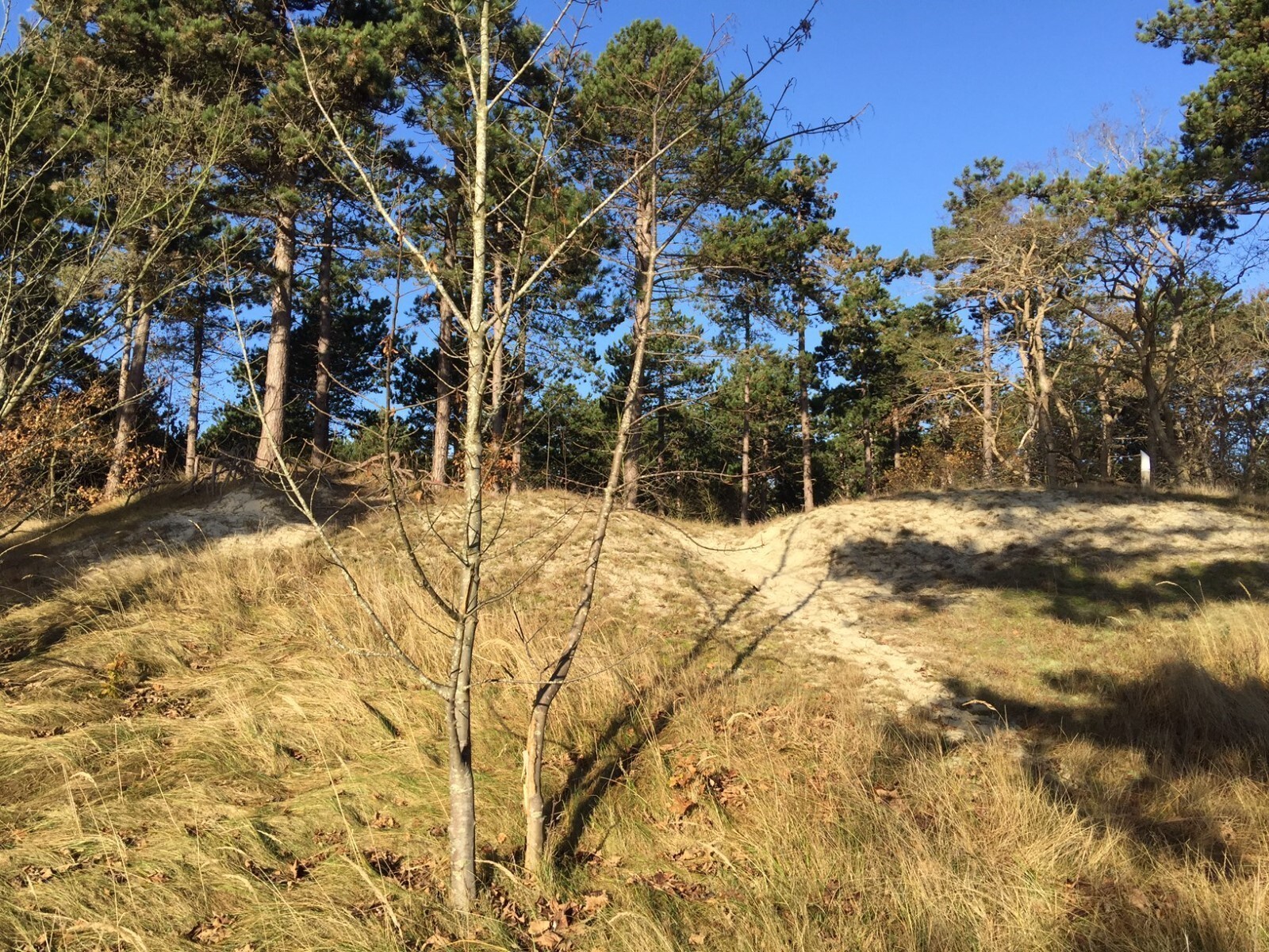 Impressie van de directe omgeving 