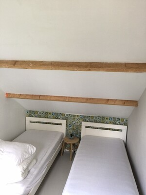 Kenmerken & indeling