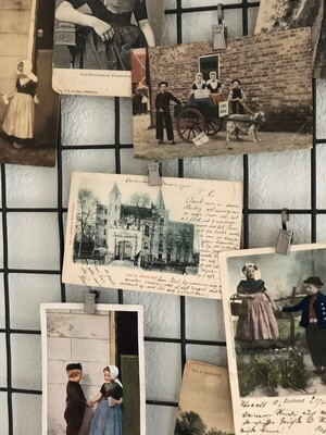 Kenmerken & indeling