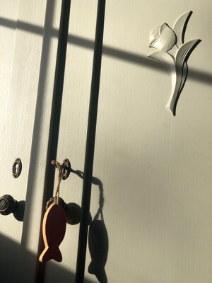 Kenmerken & indeling