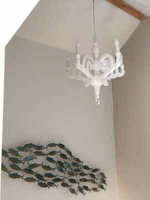 Kenmerken & indeling