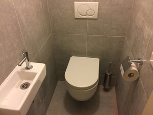 Kenmerken & indeling