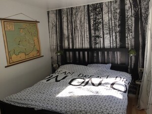 Kenmerken & indeling