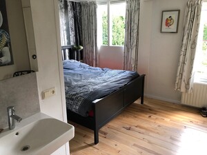 Kenmerken & indeling