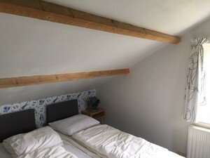 Kenmerken & indeling