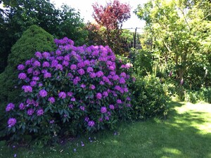 Maak een reservering